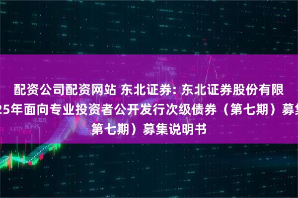 配资公司配资网站 东北证券: 东北证券股份有限公司2025年面向专业投资者公开发行次级债券（第七期）募集说明书