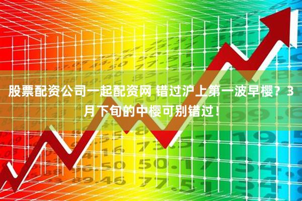 股票配资公司一起配资网 错过沪上第一波早樱？3月下旬的中樱可别错过！