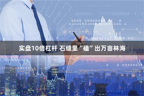 实盘10倍杠杆 石缝里“磕”出万亩林海